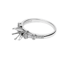 639360000031-1.png