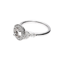 750034800009-1.png