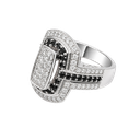 861062400005-1.png