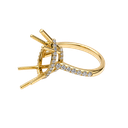 905706644000-1.png