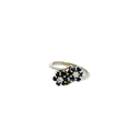 14K White Gold Diamond and Sapphire Fashion Ring
