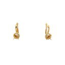 14K Yellow Gold Diamond Earrings