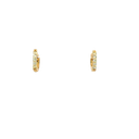 14K Yellow Gold Diamond Hoop Earrings