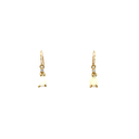 14K Yellow Gold Opal and Diamond Earrings