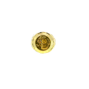 14K Yellow Gold Men's Coin Fashion Ring